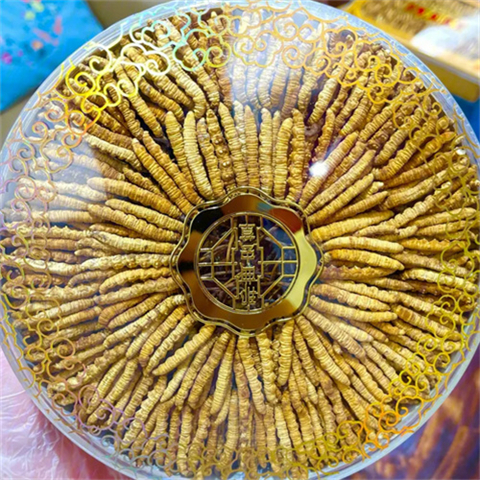 如东-王级标准1800根至2000根1公斤的冬虫夏草回收价格