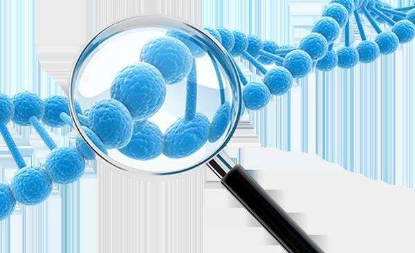 HRC专家是如何帮助卵巢炎患者实现生育计划的