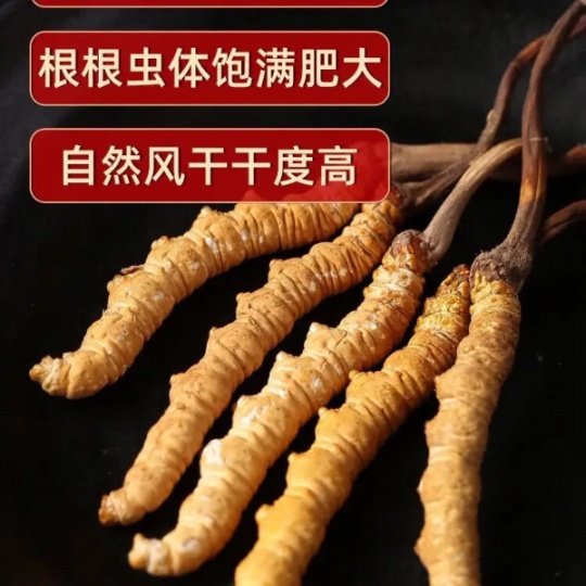 菏泽市回收冬虫夏草-按下级-中级-上级-王级定等论克价