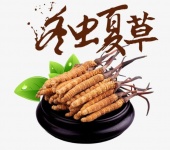 昆明回收冬虫夏草-产地正品-五个等级-四个规格-克价简介