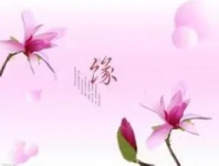 南平排队算卦特别准的,南平哪里有算卦特别准的?「求推荐」-出道仙出马仙