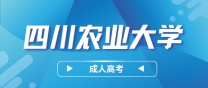 2024年四川农业大学成人高考报名流程介绍
