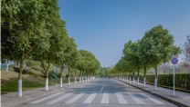 小自考汉语言文学本科四川师范大学报名流程