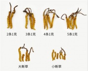 天津市回收冬虫夏草4条1克产品均重0.23至0.25克1条