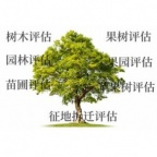 邵阳苗木征收评估,绿化树移栽评估,树木评估