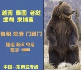 敏感货专线出口，美国空派专线，海派专线，韩国空派专线海派等DDP双清包税到门跨境
