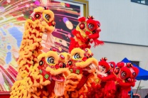 西安承接舞龙舞狮 杂技魔术 开场舞蹈 杂技演出 开业锣鼓 启动道具