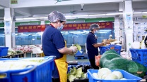 生鲜蔬菜配送，广州食堂食材供应链公司，冷链配送