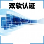 临沂软件企业认定需要满足哪些条件才可以获得认定