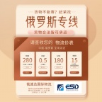 深圳俄速达国际物流可承运小普百货大宗货物走陆运汽运空运都行