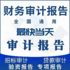 出具各类审计报告