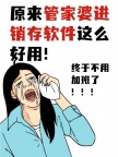 管家婆软件 - 中小企业进销存财务管理专家
