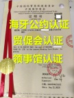突尼斯领馆盖章资产负债表