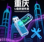 重庆 U 盘数据恢复：专业技术挽回丢失文件