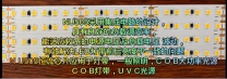 LED灯条/COB灯带/UVC光源上用的恒流二极管芯片NU506(SOD123）10~60mA电流